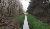 Trail Walking Horst aan de Maas - Schadijkse Bossen - Photo 1