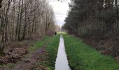 Tocht Stappen Horst aan de Maas - Schadijkse Bossen - Photo 1