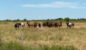 Tour Hybrid-Bike Vendays-Montalivet - Montalivet - Talais - St Vivien - Vensac- Montalivet - Photo 9