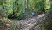 Tocht Stappen Domjean - Rando gorge de la Vire  - Photo 12