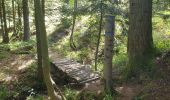 Trail Walking Grandfontaine - Positions fortifiées du Donon sentier des casemates - nord - Photo 3