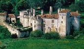 Excursión Senderismo Mareuil en Périgord - Boucle du château de Mareuil - Photo 1