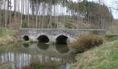 Tour Wandern Paliseul - Promenade des deux ponts - Photo 7