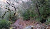 Trail Walking Quinson - verdon basse gorge via ravin ste marguerite et chapelle ste marguerite  - Photo 10
