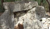 Randonnée Marche Cabasse - les dolmens 3 - Photo 3