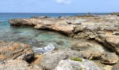 Excursión Senderismo Saint-François - Guadeloupe - Pointe des Châteaux (2024) - Photo 6