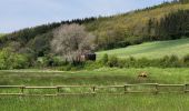 Tocht Stappen Fauvillers - rando honville 18-05-2023 - Photo 16