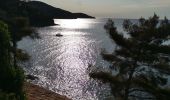 Percorso Bici da strada Le Lavandou - le lavandou  cavalaire - Photo 7