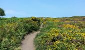 Tour Wandern Plévenon - Cap Fréhel - 2017 06 22 - Photo 2