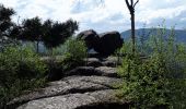 Tour Wandern Oberhaslach - Oberhaslach - Photo 13