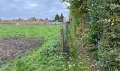 Trail Walking Brunehaut - Hollain 16,2 km - Photo 9