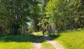 Tocht Stappen Kirchberg - 2020-06-24 DW35 Au-dessus du lac Lachtelweiher - Photo 13