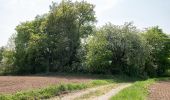 Percorso A piedi Mühltal - Ortsrundwanderweg Mühltal 1 - Photo 2