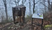 Trail Walking Mazamet - Mazamet : chemin de la passerelle  - Photo 8