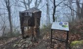 Tocht Stappen Mazamet - Mazamet : chemin de la passerelle  - Photo 8