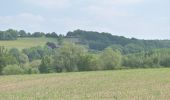 Tour Wandern Bleiberg - 20200527 - Hombourg 11 Km - Photo 14