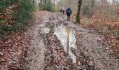 Percorso Marcia Namur - 2019-12-28 Flawinne 21 km - Photo 10