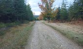 Tour Wandern Stoumont - Le Roannay, le mont des Brumes, la fagne - Photo 5