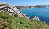 Trail Walking Camaret-sur-Mer - Camaret - Photo 12