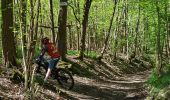 Trail Mountain bike Mutzig - parcours test VTTAE Mutzig  - Photo 4