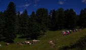 Excursión A pie Villnöß - Funes - Günther Messner Steig - Photo 6