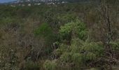 Tocht Stappen Puget-sur-Argens - z la lieutenante 28-01-20 - Photo 4