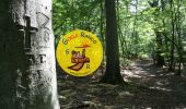 Trail Walking Coye-la-Forêt - SM_COYE la FORET_7.9Km - Photo 1
