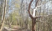 Trail Walking Trooz - autour de Prayon (si on m avait dit ...) - Photo 12