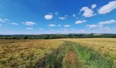 Excursión Senderismo Houyet - Celles Hulsonniaux La Lesse - Photo 15