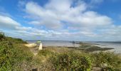 Randonnée Marche Port-des-Barques - Île Madame - Photo 5