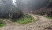 Randonnée Trail Arfons - ballade cool post champignons 😋 - Photo 5
