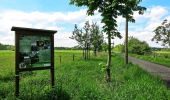 Tour Zu Fuß Unbekannt - [A17] Annaberger Hof Rundwanderweg - Photo 8