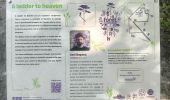 Trail Walking Canteleu - Forêt monumentale - Photo 12