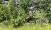 Trail Walking Aywaille - Remouchamps (Hée des Gattes) 10Km - Photo 3