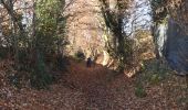 Tocht Stappen Verviers - 20241130 - FFBMP Heusy - 6.3 Km - Photo 17
