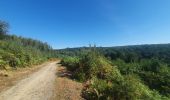 Trail Walking Bertrix - rando  auby sur semois 2-09-2022 - Photo 16