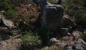 Trail Walking Saint-Privat - Mas d'Albert  - Photo 4