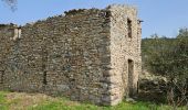 Tour Wandern Belgentier - Belgentier-Barres de Cuers-Pilon St Clément - Photo 2