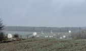 Randonnée Marche Libin - rando redu 31-12-2024 - Photo 3