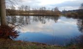 Tour Zu Fuß Unbekannt - Ehlener Kreuz - Parkplatz Hirzstein - Photo 6