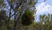 Excursión Senderismo Joucas - Joucas - Les gorges de Véroncle - Photo 2