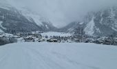 Trail Snowshoes Pralognan-la-Vanoise - Pralognan Les Fontanettes - Photo 7