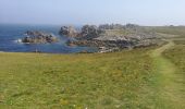 Tocht Stappen Ouessant - Lampaul - tour nord d'Ouessant - Photo 12