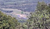 Tour Wandern Le Revest-les-Eaux - Le tour du mt Caume - Photo 10