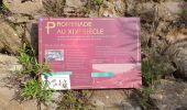 Tour Wandern Ceilhes-et-Rocozels - ceilhes - Photo 8