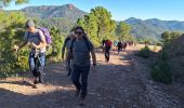 Trail Walking Fréjus - Malpey avec pierre le 15/11/2024 - Photo 1