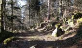 Tour Wandern Gerdsee - gerardmer - la mauselaine . tête grauvelin . Roche boquet . croix claudé . hautes Vannes . la mauselaine  - Photo 11