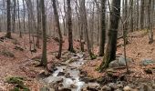 Percorso Marcia Spa - La promenade de Meyerbeer (6,6km)  - Photo 1