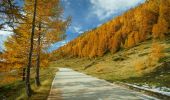Trail On foot Bedretto - Alla Baita-Alpe di Cruina - Photo 7