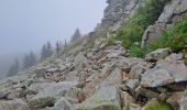 Randonnée Marche Abetone Cutigliano - Boucle du mont Poggione par le Lago Nero et le jardin botanique - Photo 4